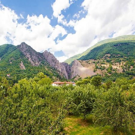 Irenes Resort Káto Loutrákion Buitenkant foto